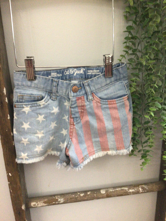 Flag shorts-5T