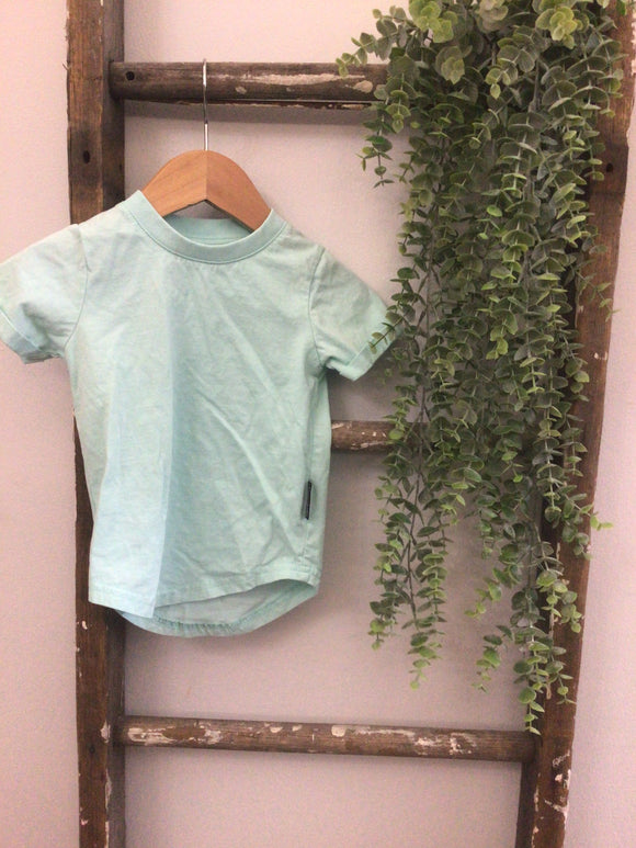 Lenox James mint tee-12/18M