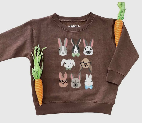 Boy Bunnies Sweatshirt