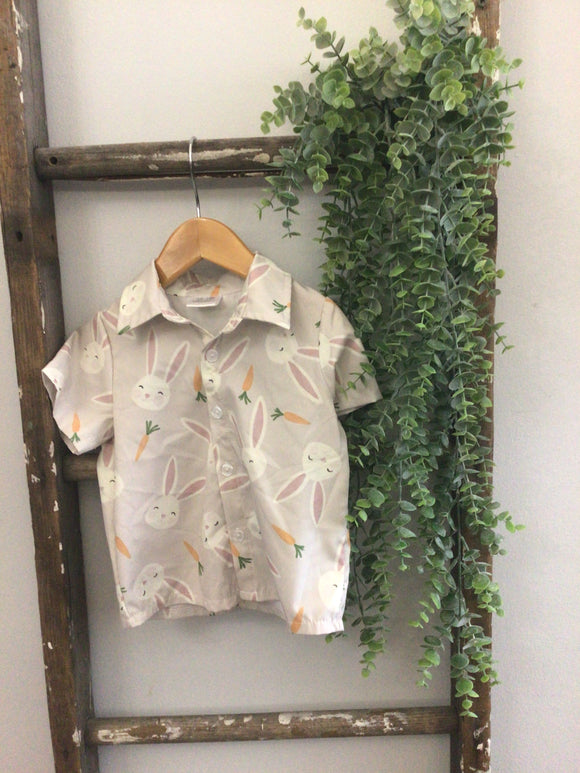 Easter bunny button up-12/18m