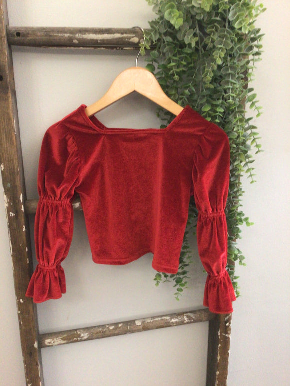 Velvet ruffle long sleeve- 2/3T
