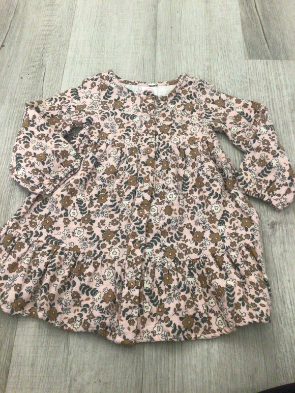 NWT Floral dress-2T