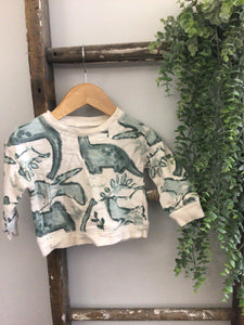 Carters green dinosaur pullover-12m