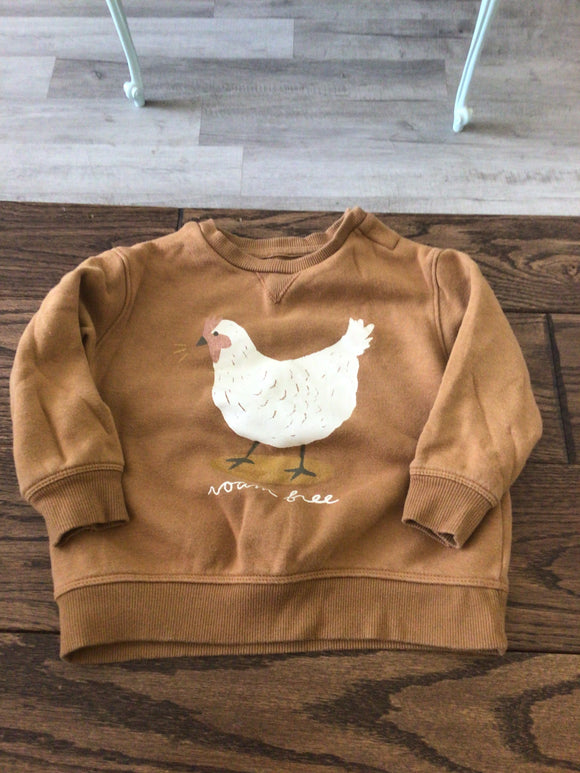 Roam free pullover- 18M